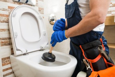 What Product Can I Use to Unclog a Toilet
